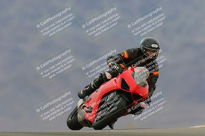 media/Jan-15-2023-SoCal Trackdays (Sun) [[c1237a034a]]/Turn 9 (2pm)/